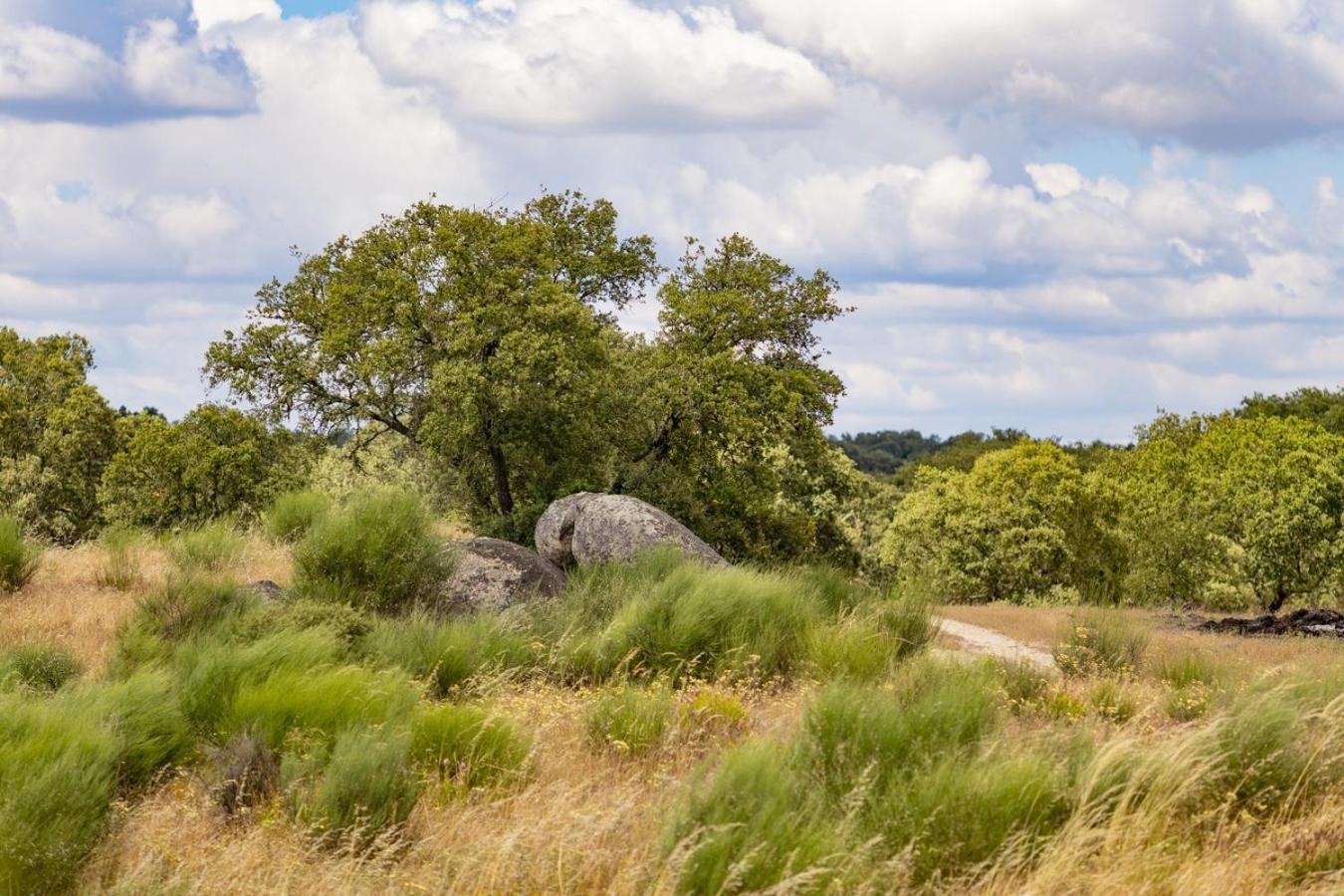 Herdade Do Gamito Crato Luaran gambar